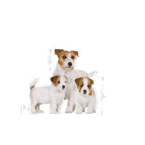 [Case Deal!] Royal Canin Starter Mother & Babydog – Ultra Soft Mousse 195g x12 (Best before: 2024/7/21)
