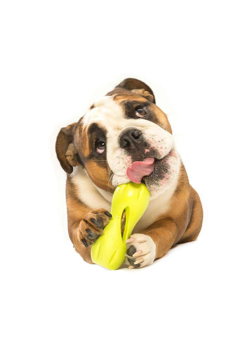 West Paw Qwizl Treat Dog Fetch Toy