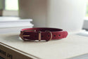 

URBAN MONSTER-CLASSSIC COLLAR (ROSEWOOD RED)